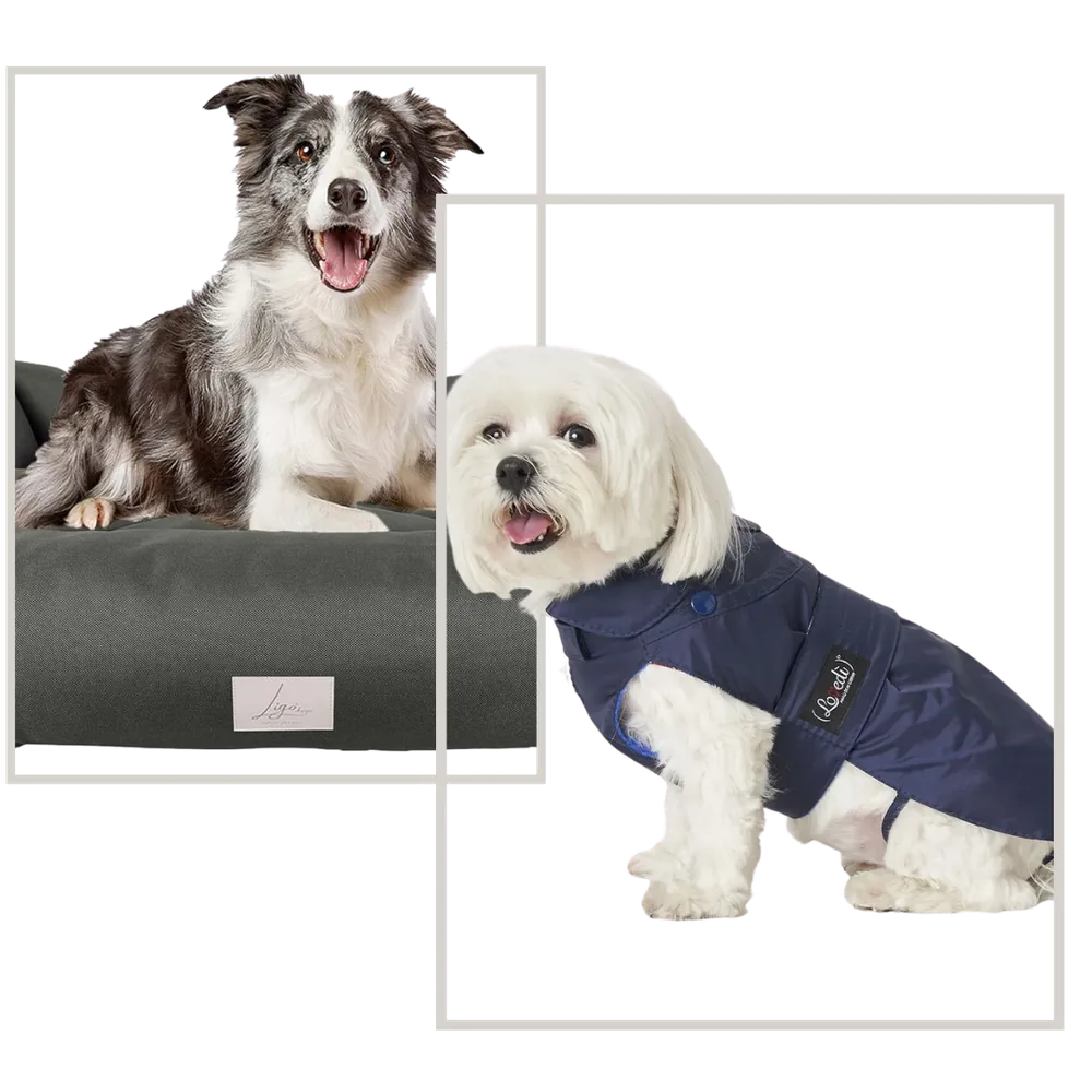 Pet Care
