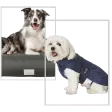 Pet Care