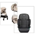 Passeggini